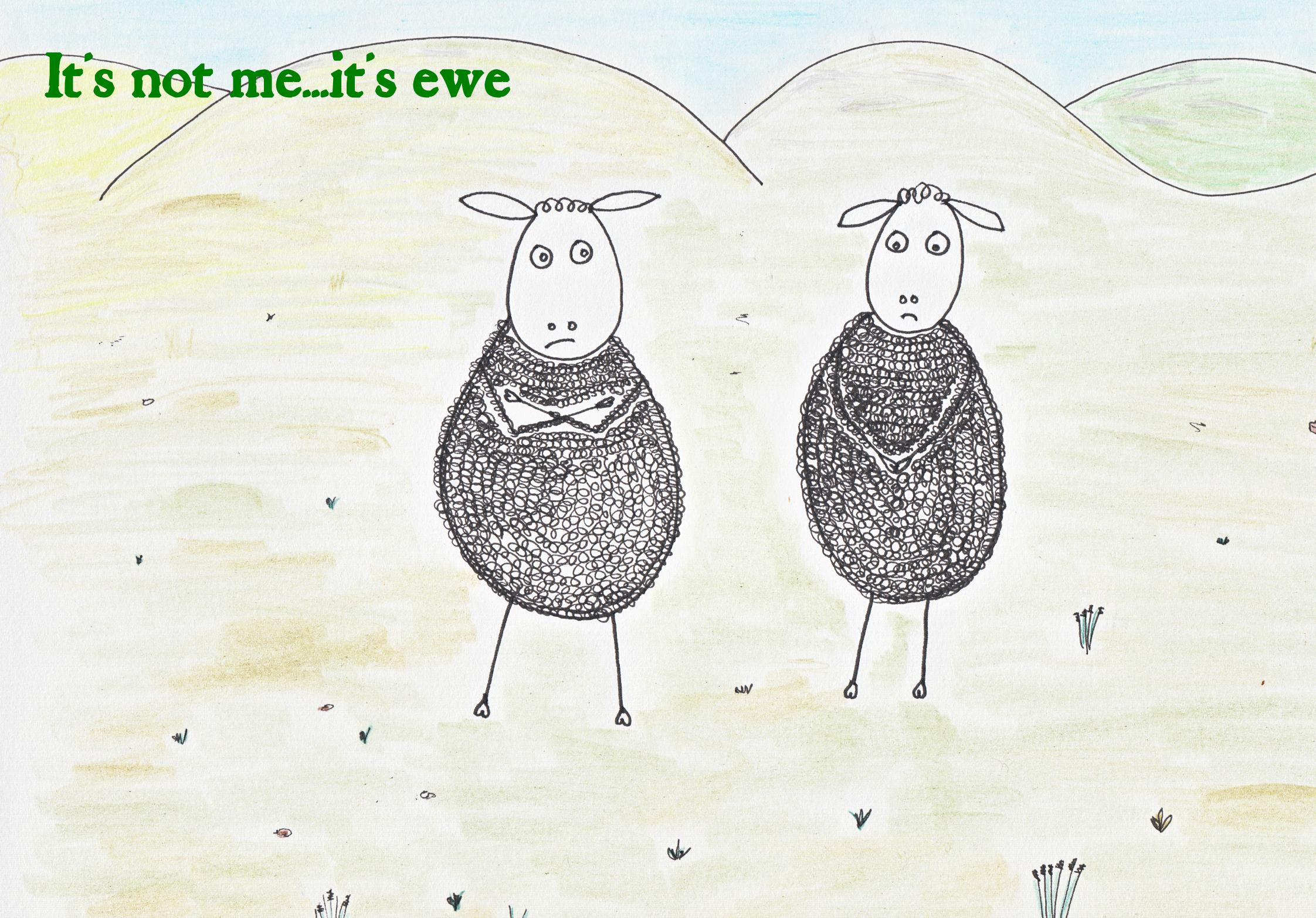 It's ewe