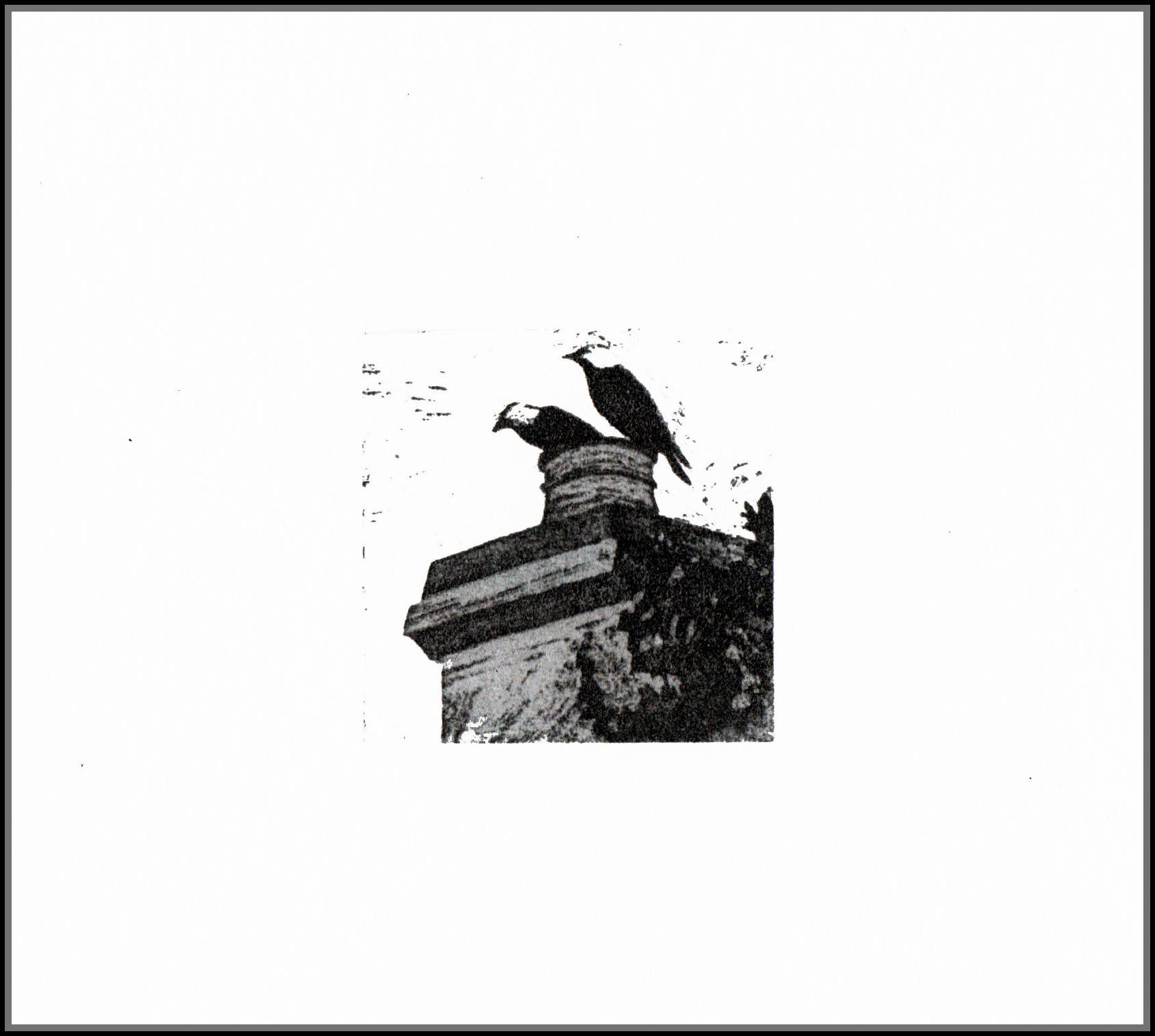 2-on-the-pot-card-image