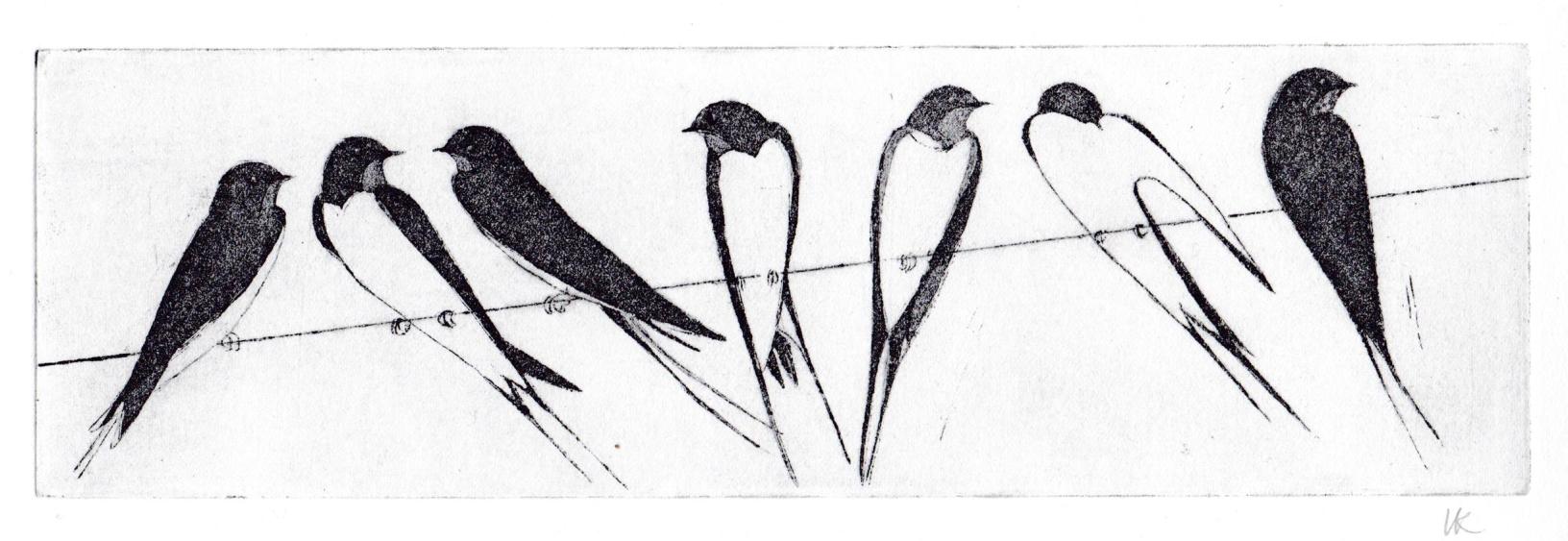 swallows on line 2 (Copy)
