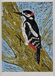 woodpecker smll