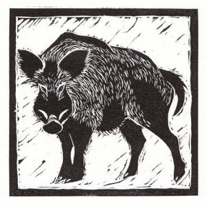 Wild Boar