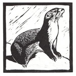 Otter 