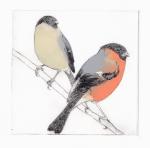 bullfinches drypoint & monoprint 25x21cm (2) (Copy)
